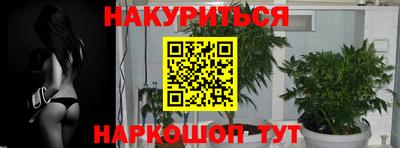 индика Краснодар
