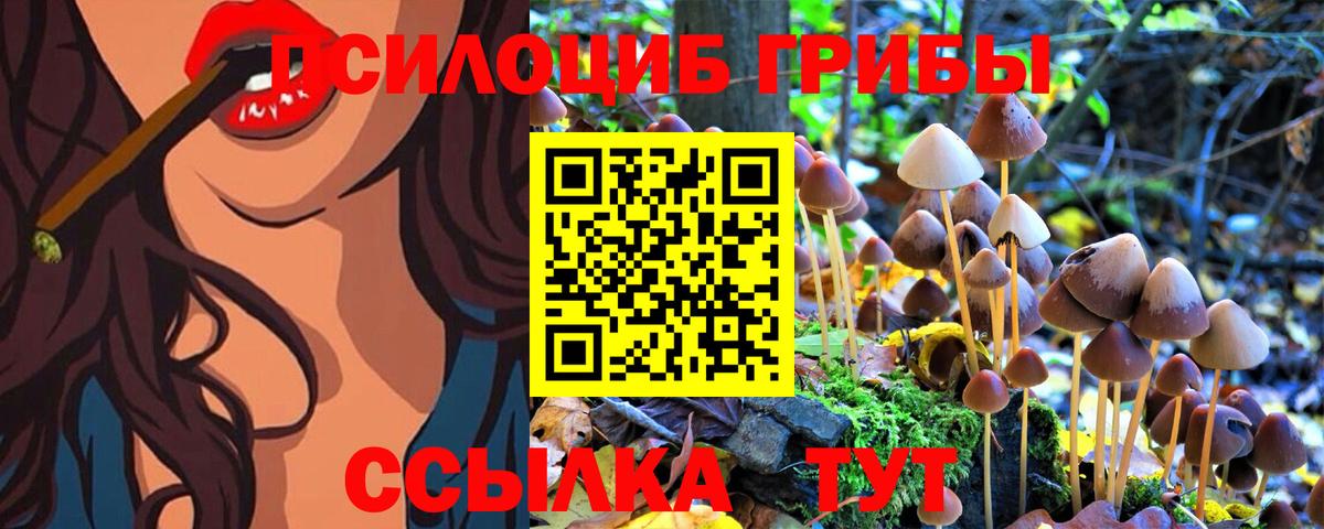 Галлюциногенные грибы Magic Shrooms  Вход с VPN  Кисловодск 