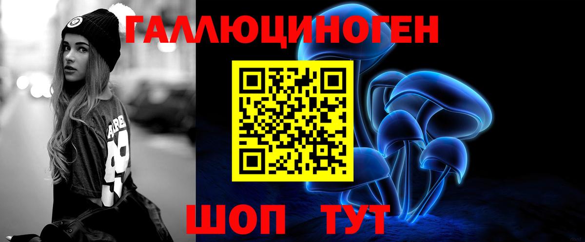 Галлюциногенные грибы Psilocybine cubensis Кисловодск